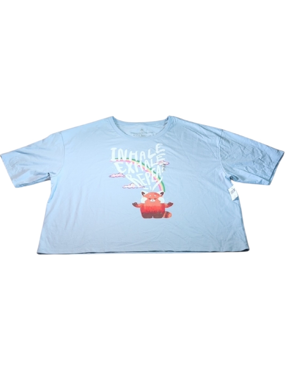 Disney Turning Red Light Blue T-Shirt Size 3X